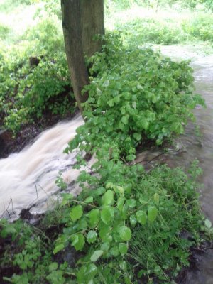 img-20130602-103205.jpg