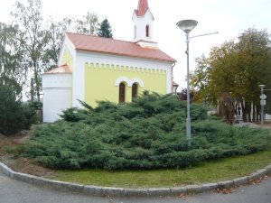 p1050159.jpg