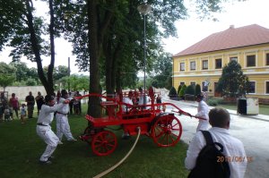 p6165552.jpg